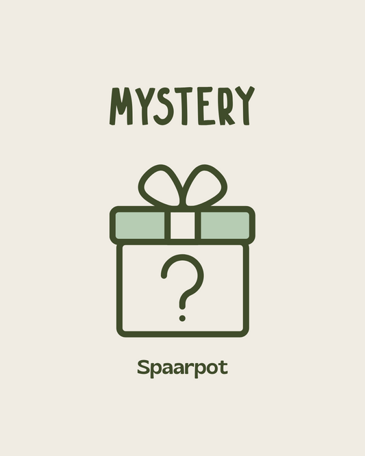 Mystery spaarpot - klein